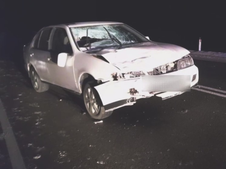Nissan насмерть сбил шедшего по дороге мужчину в Забайкалье
