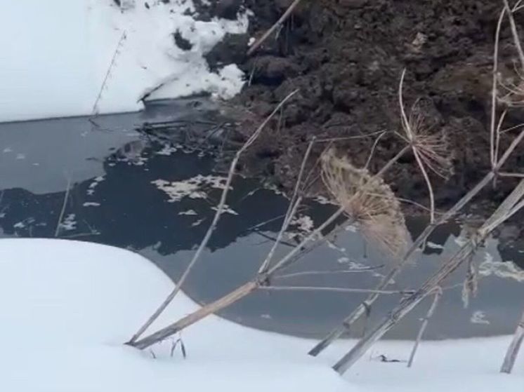 В реку Уча в Подмосковье неизвестные высыпали строительный мусор