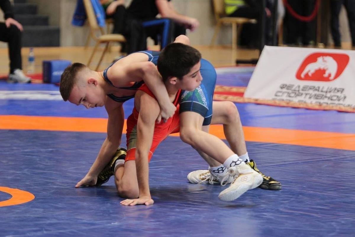 Wrestlers from the Moscow region are recognized as the strongest at Russian championships