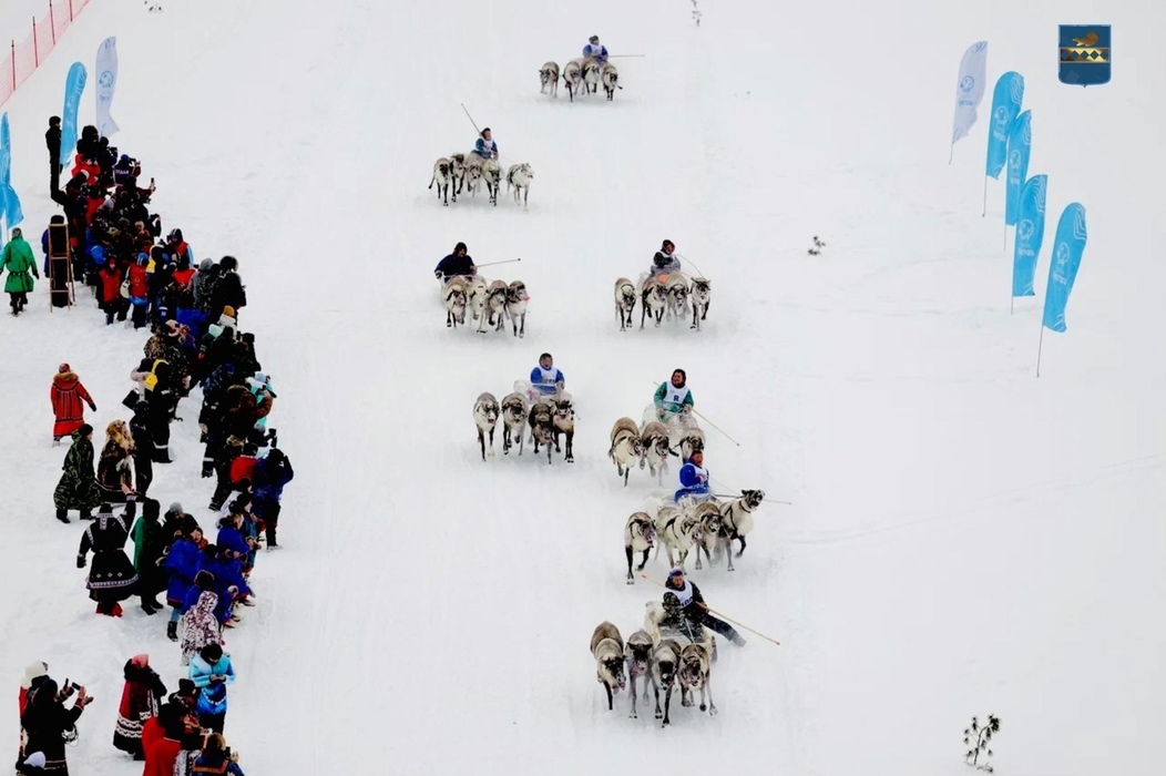 Тарко-Сале с размахом празднует День оленевода: яркие моменты главного праздника северян
