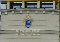 Глава Следственного комитета РФ взял на контроль ситуацию с газоснабжением в одном из СНТ Оренбуржья