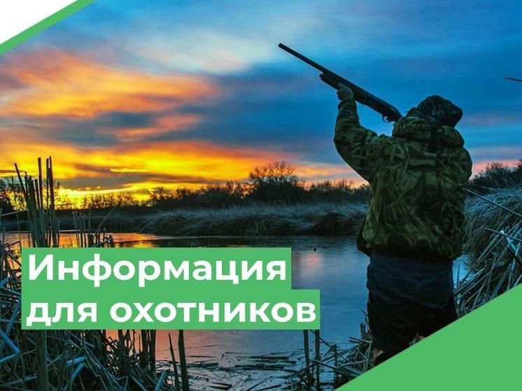 Предварительной датой начала весенней охоты на дичь в Смоленской области станет 30 марта