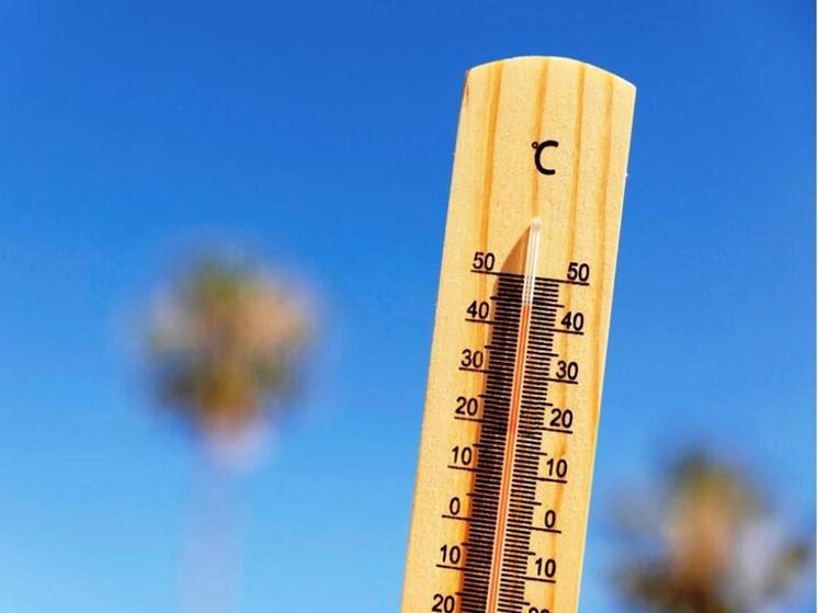 Из-за феномена Эль-Ниньо брянцев ждет аномально жаркое лето