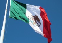 В МИД Мексики официально заявили, что не выдвигали запрос на присоединение к группе БРИКС, однако страна внимательно следит за развитием этого объединения