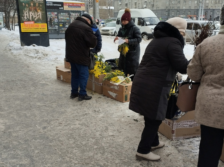 В Новосибирске начали продавать мимозу к 8 марта