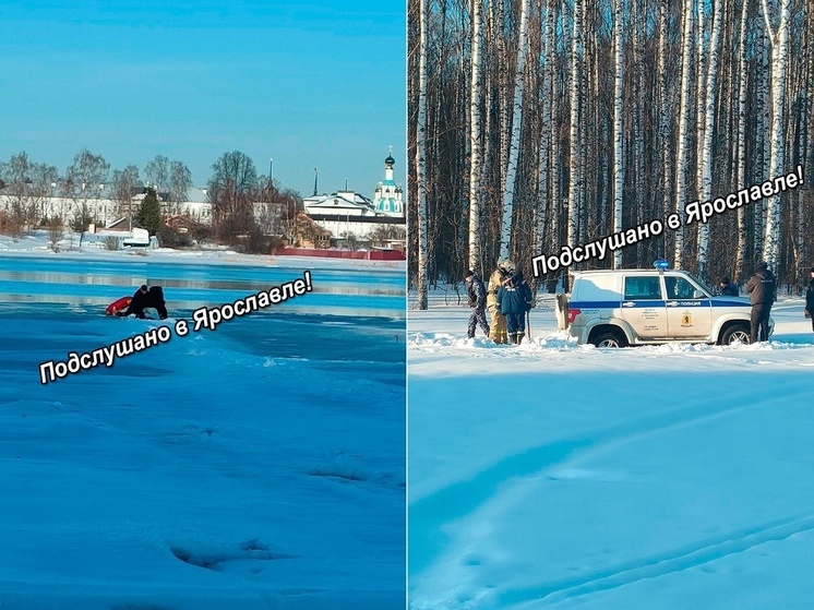В Ярославле двух любительниц селфи пришлось вытаскивать из полыньи