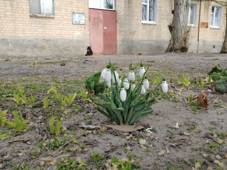 Запорожцев ждёт короткая рабочая неделя в честь Международного женского дня