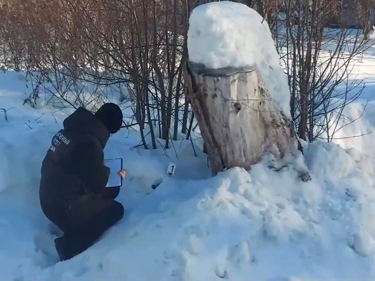 Девочку-подростка в Карелии будут судить за наркотики