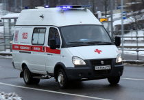 Как стало известно «МК», инцидент произошел в Дмитровском городском округе в коттеджном поселке
