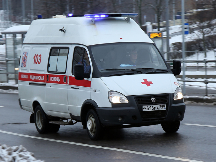 16-летний подросток найден мертвым на подмосковной даче в ночь на понедельник