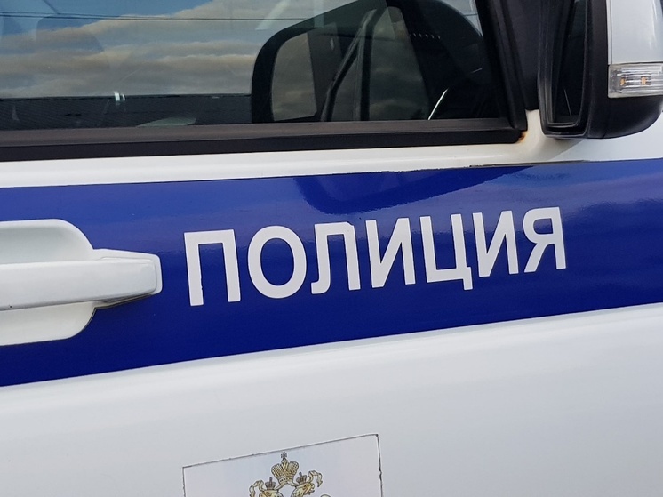 Полиция ищет подростков, до смерти напугавших ребенка в Петрозаводске