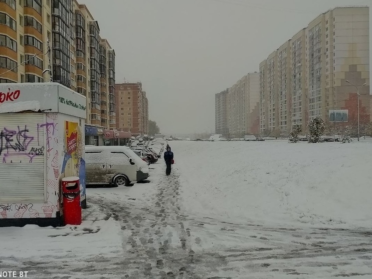 Синоптик Кичанова рассказала, когда закончится мартовский снегопад в Новосибирске