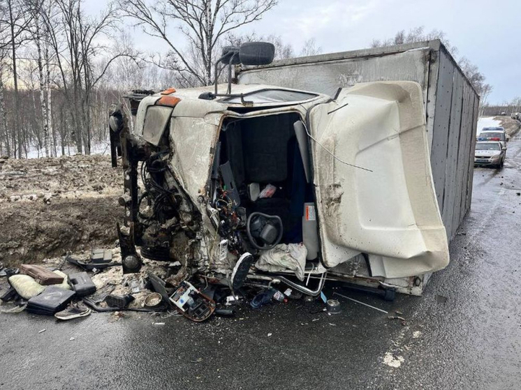 Во Владимирской области произошло 386 ДТП за неделю