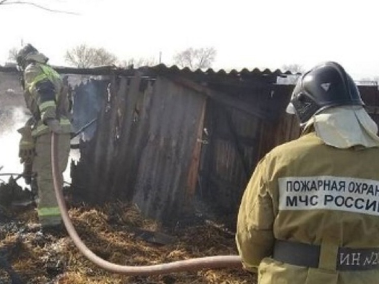 На прошедшей неделе в Калмыкии произошло 18 пожаров