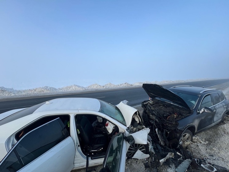Один человек погиб и двое пострадали в ДТП на трассе М-6 в Скопинском районе