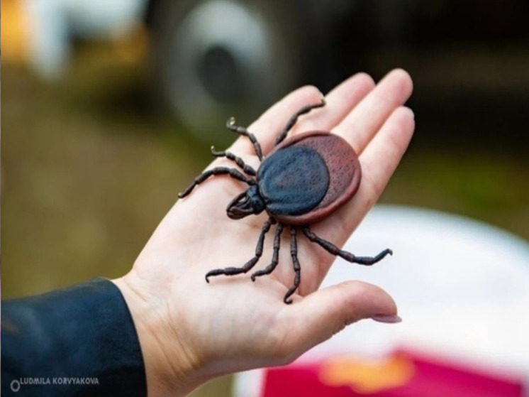 Вакцинация от энцефалита началась в Карелии