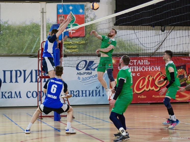 Этап чемпионата Московской области по волейболу состоялся в Пущино