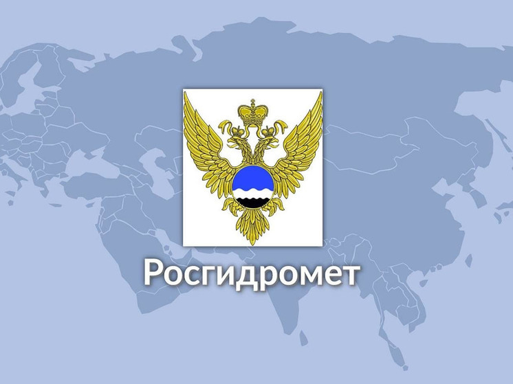 В Орловскую область придут крепкие морозы и осадки