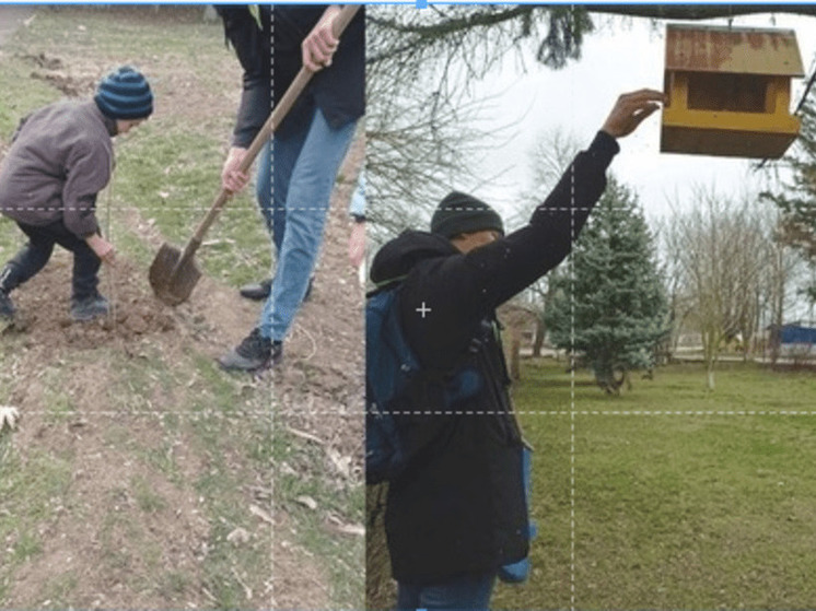 Дети-экологи из Чаплынского округа подвели итоги своей работы