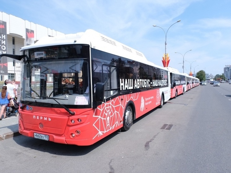 В Перми появятся новые автобусные маршруты