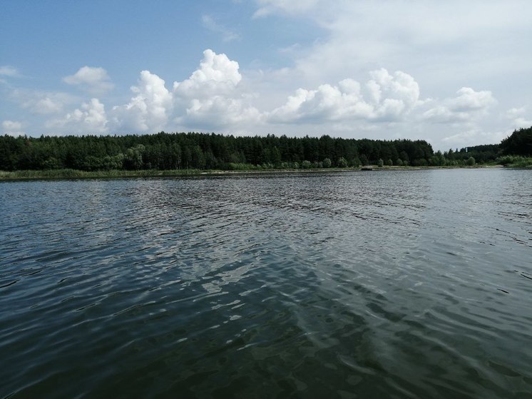 Белгородский губернатор: в 2024 году очистят 52 водных объекта