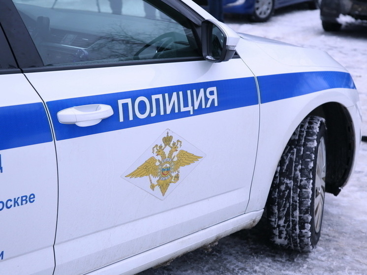 В подвале жилого дома в городе Всеволожск Ленинградской области были найдены два мертвых тела