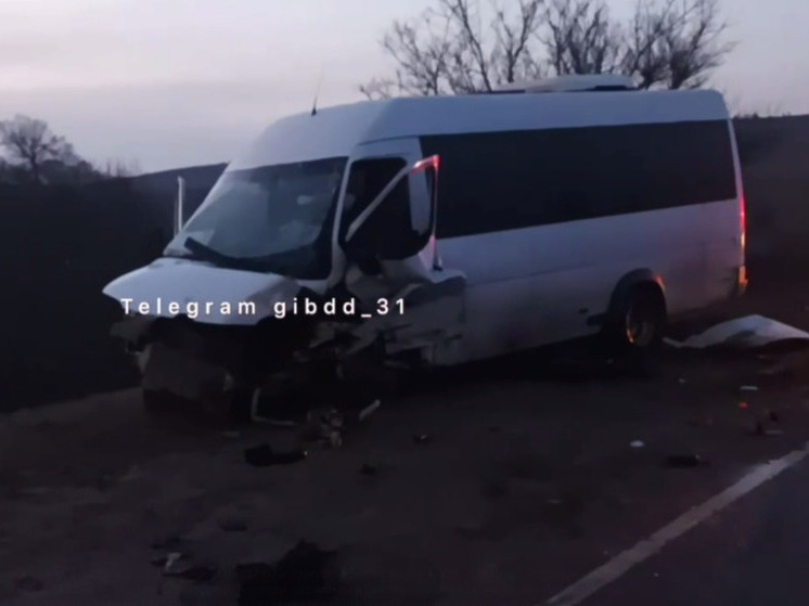 На трассе под Белгородом иномарка врезалась в автобус