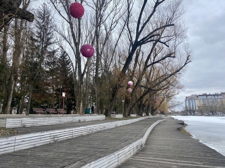 Белгородцам предложили проголосовать за благоустройство города или села