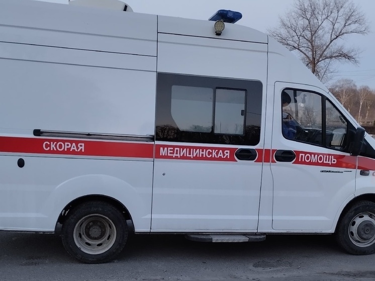 ВСУ обстрелом ранили женщину на севере Горловки