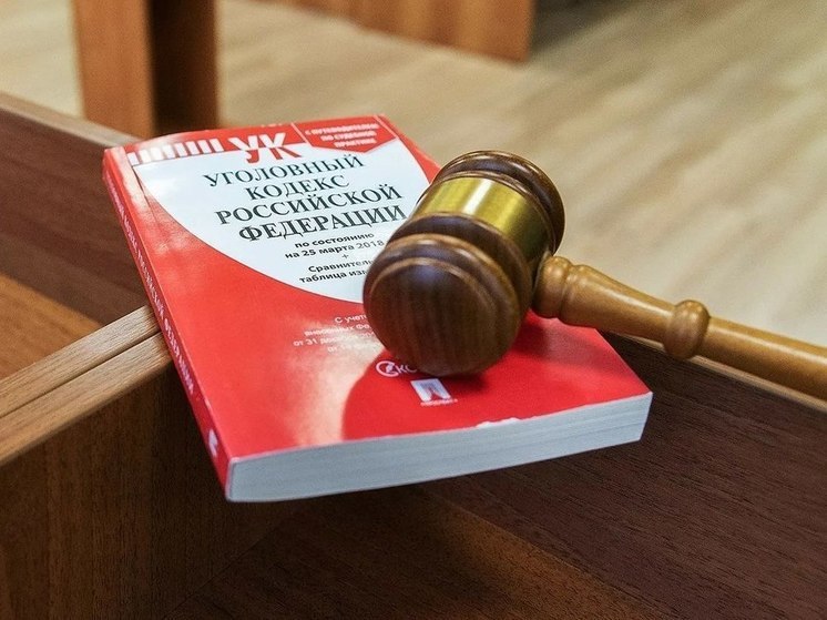 На Запорожье осуждён виновный в гибели несовершеннолетней водитель