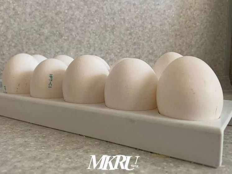 Произведенные в Чите яйца впервые появятся на полках торговой сети