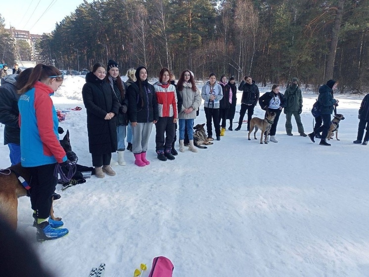 Студентка из Серпухова победила в соревнованиях по ездовому спорту