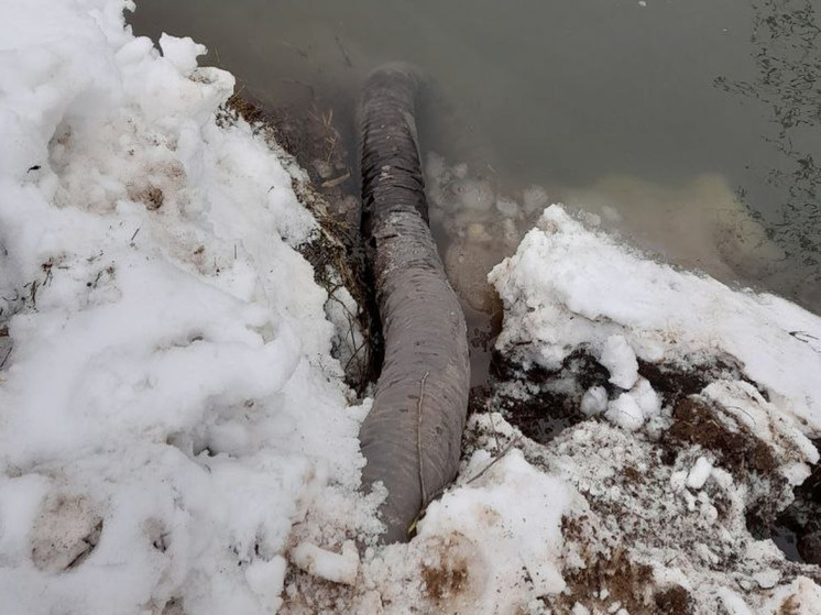 В реку Горетовка в Химках предприниматели сливали нечистоты