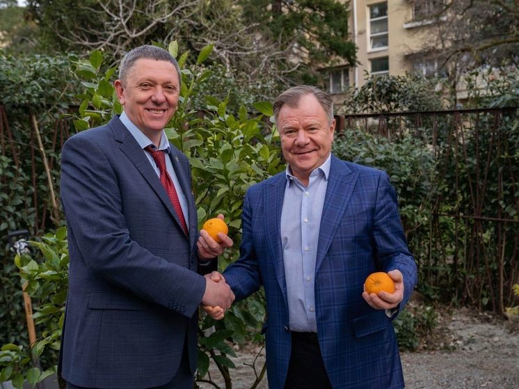 В Сочи Игорь Бутман высадил дерево нового сорта апельсина
