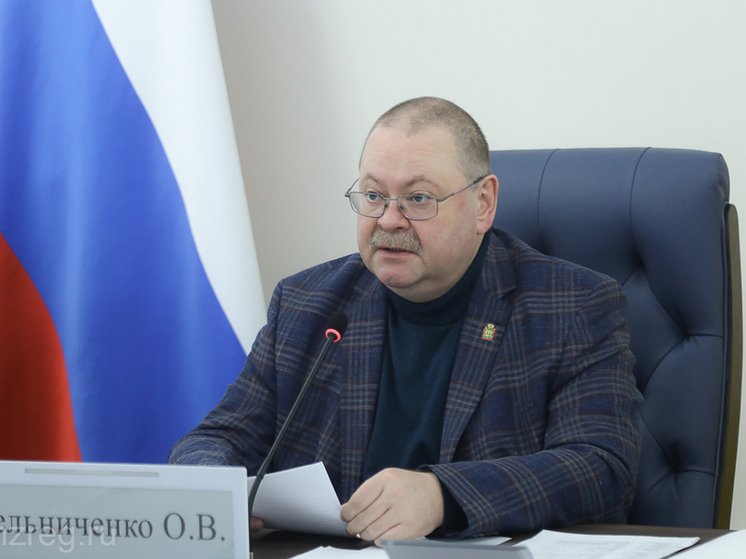 Губернатор Пензенской области дал поручения по безопасному прохождению паводка