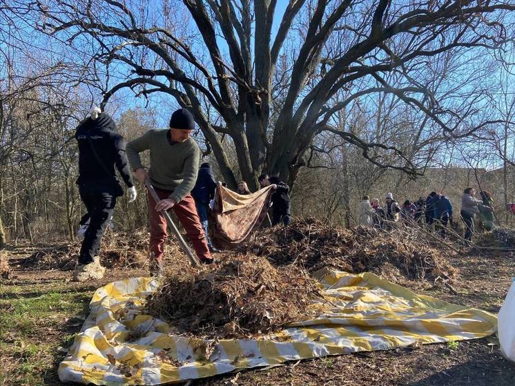 Вокруг знаменитого запорожского дуба провели субботник