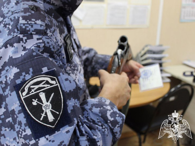 В Курской области специалисты Росгвардии за неделю изъяли 19 единиц оружия
