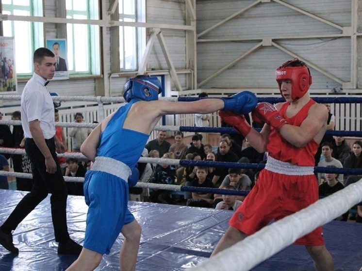 Региональный турнир по боксу прошел в селе Красный Чикой