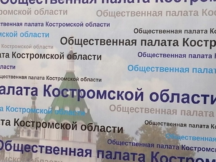 Костромская общественная палата отчиталась о подготовке наблюдателей для выборов
