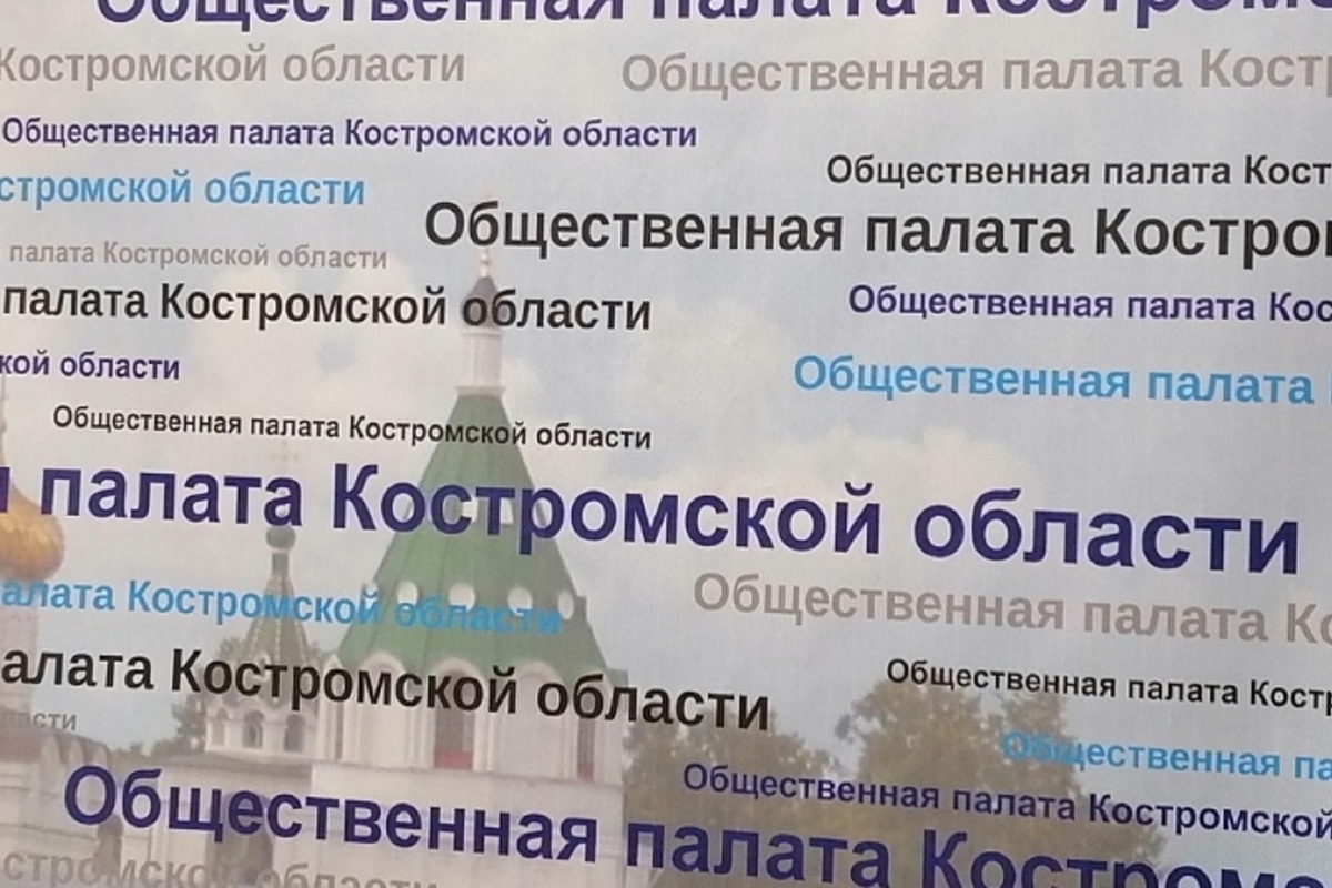 Костромская общественная палата отчиталась о подготовке наблюдателей для выборов