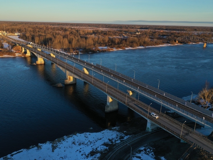 Курянин построил мост через реку Волхов в Ленинградской области
