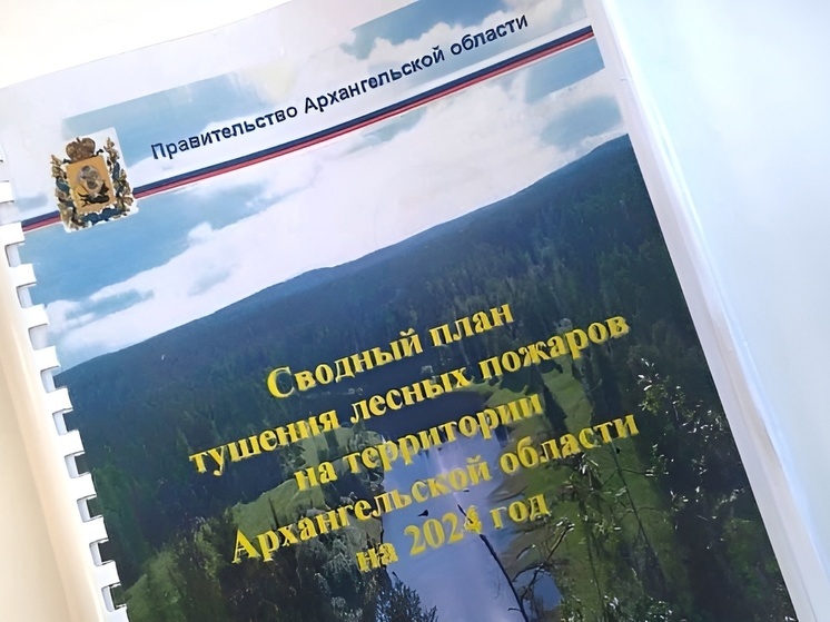 Около трех тысяч огнеборцев подготовлены к тушению лесных пожаров в Поморье