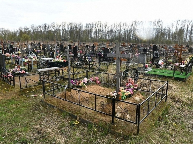 Ярославских «похоронщиков» предупредили о закрытии Осташинского кладбища