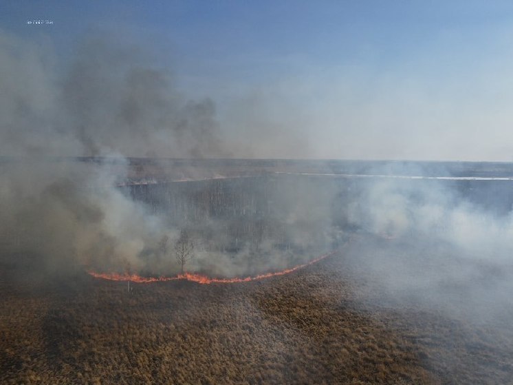 В Приамурье готовятся к пожароопасному сезону 2024 года