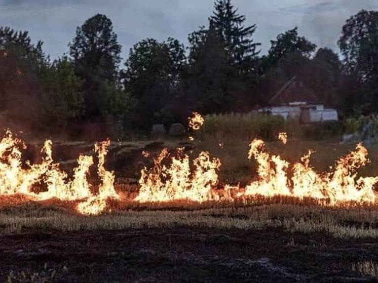 В Тамбовской области стартует противопожарная кампания «Останови огонь!»