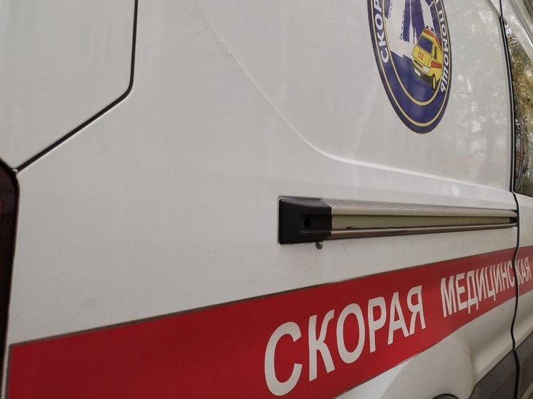 Водитель погибла, врезавшись в дерево под Каменногорском