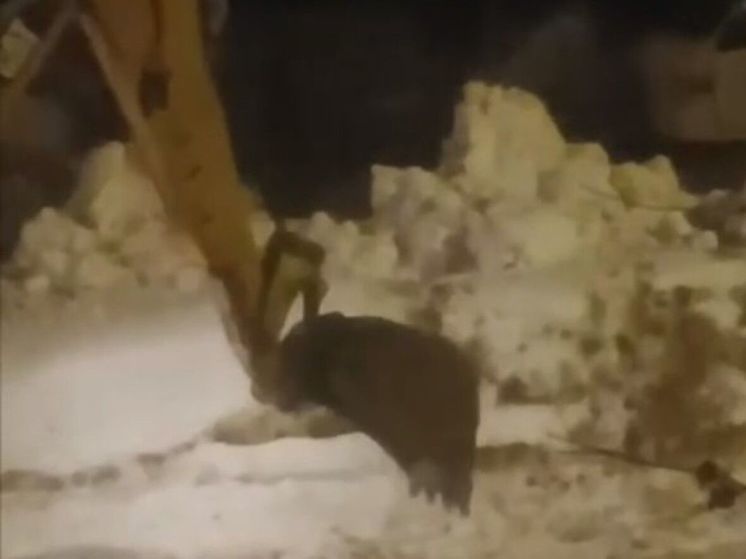 В Дмитрове люди не могут уснуть из-за работы коммунальщиков