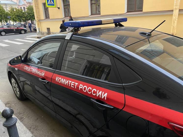 Мужчину и женщину задержали за убийство двух человек во Всеволожске