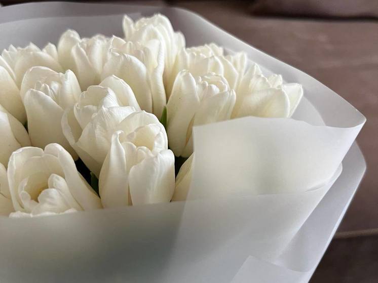 В Ессентуках 8 марта боец СВО споёт «Королеву красоты»