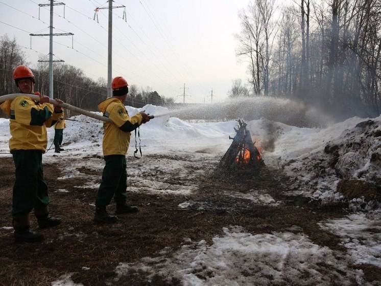 Специалисты профильных служб Серпухова отработали действия при тушении лесных пожаров
